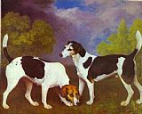 Hound and Bitch in a Landscape by George Stubbs